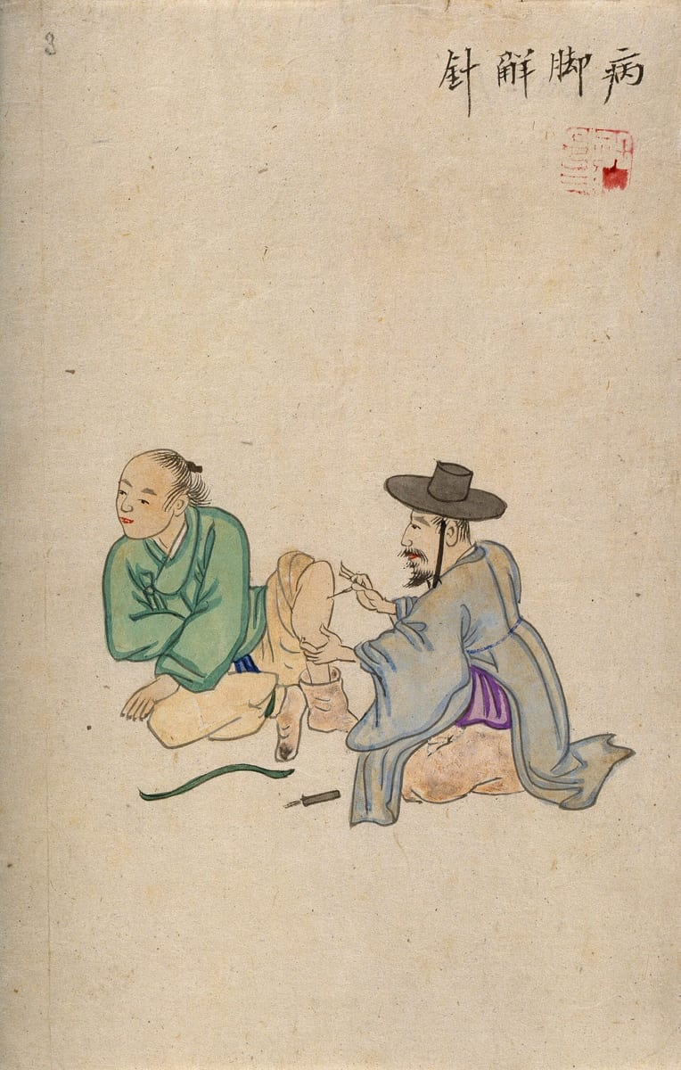 한방 웰니스 5일