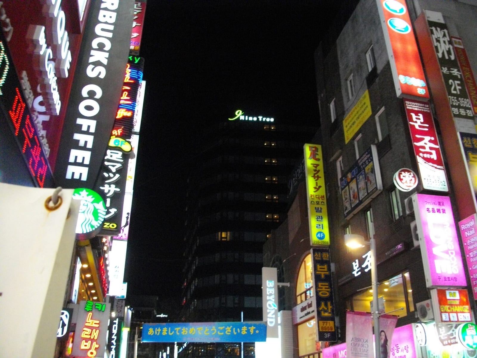 명동 야시장 미식 산책